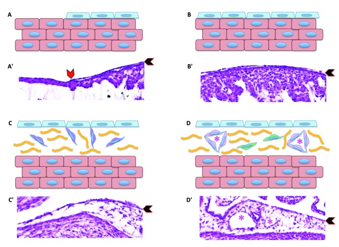 Figure 11.