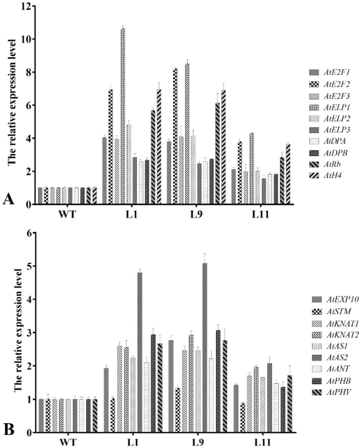 Figure 6