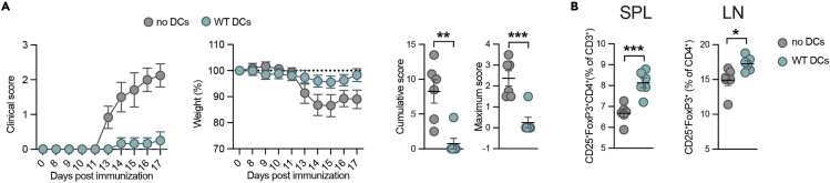 Figure 5