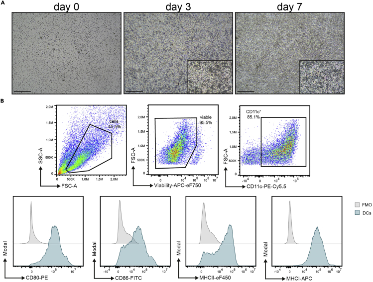 Figure 4