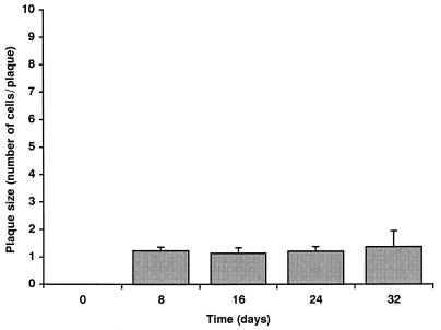 FIG. 7