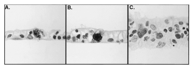 FIG. 6