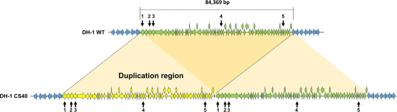 Fig. 3