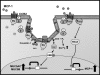 Fig. 10.