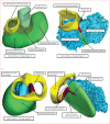 Figure 4: