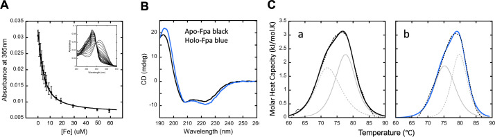 Absorbance at 365 nm with increasing iron concentrations, circular dichroism spectra comparing apo-Fpa and holo-Fpa, and molar heat capacity changes with temperature in two conditions are depicted.