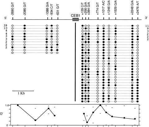 Figure  1 