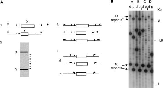 Figure  2