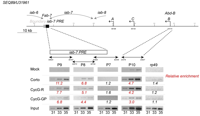 Figure 7