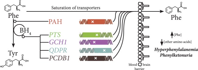 Figure. 4.