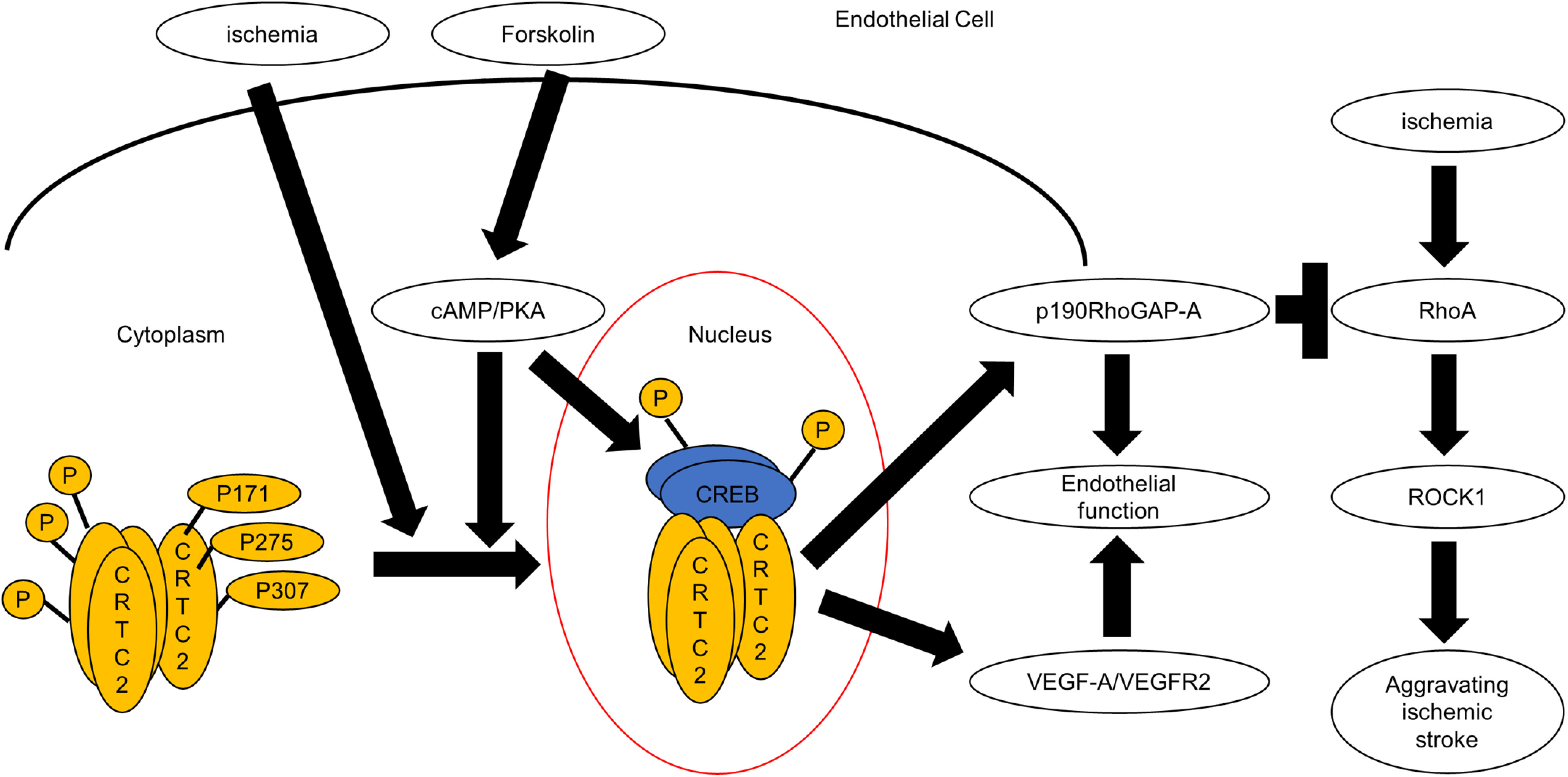 Figure 10.