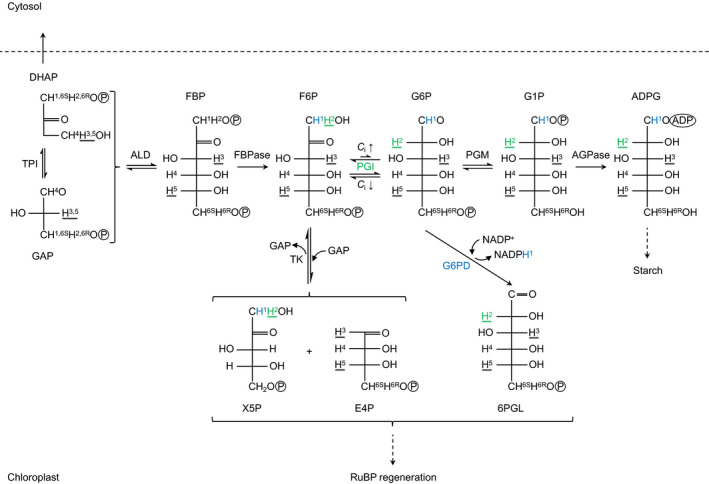 Fig. 4