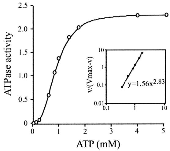 Fig. 5