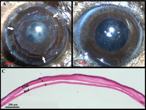 Figure 3.