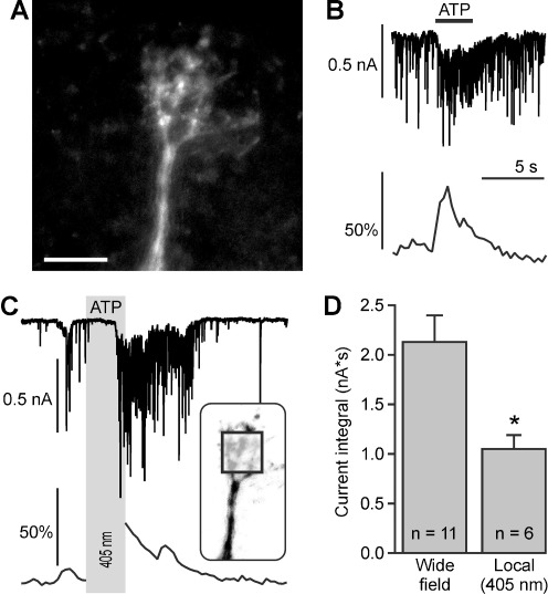 Fig. 4