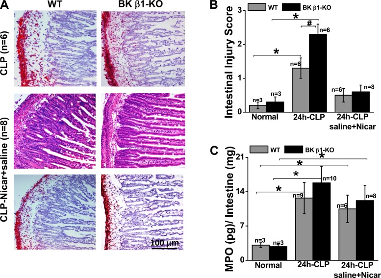 Fig. 6.