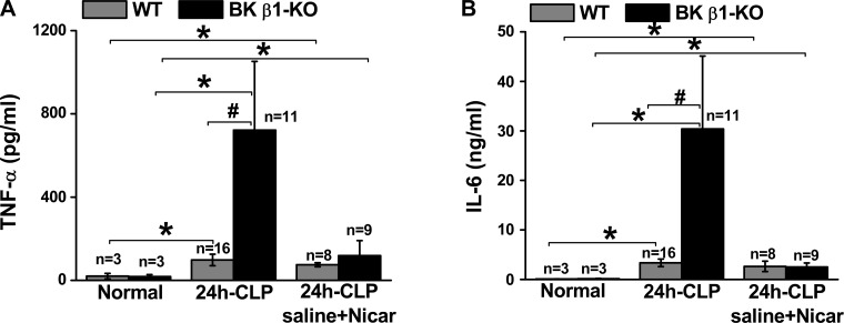 Fig. 8.