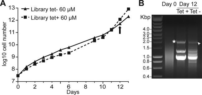 FIG 3