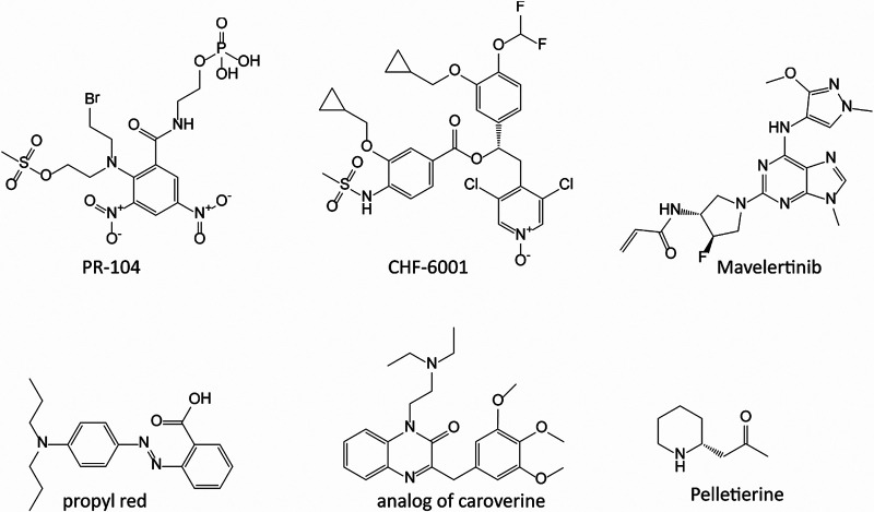 FIG 2