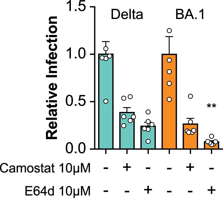 Extended Data Fig. 8