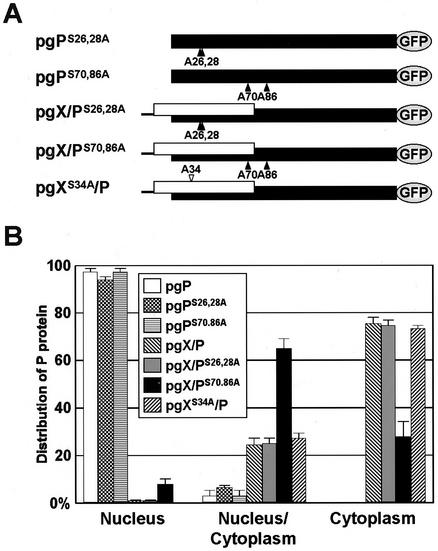 FIG. 5.