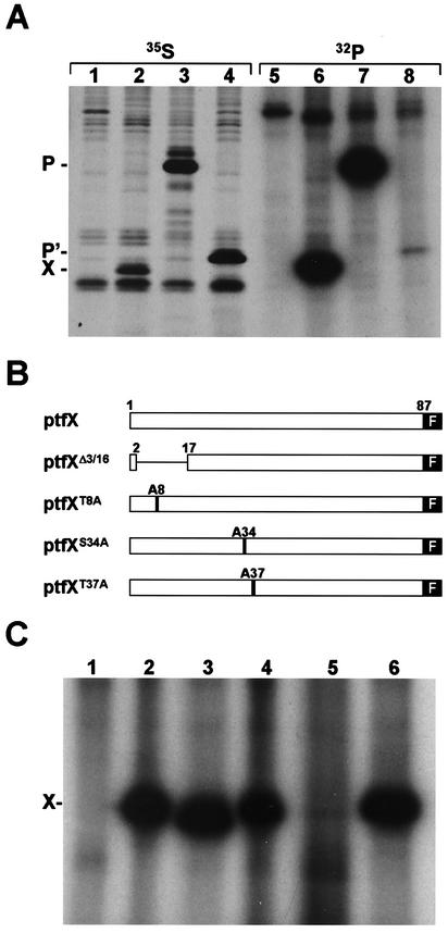 FIG. 4.