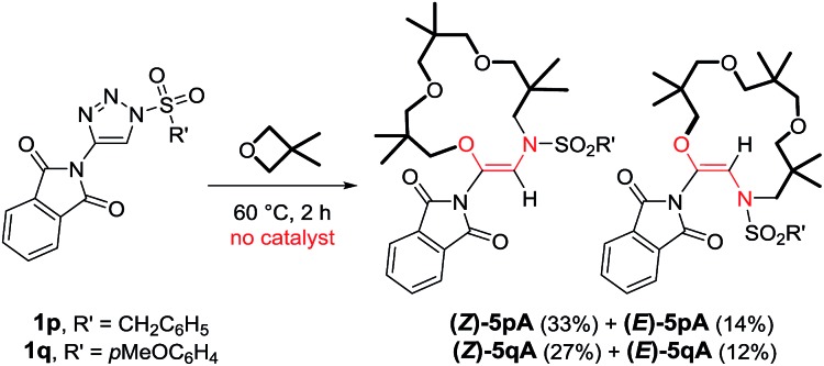 Scheme 6