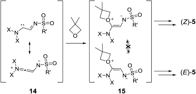 Scheme 8