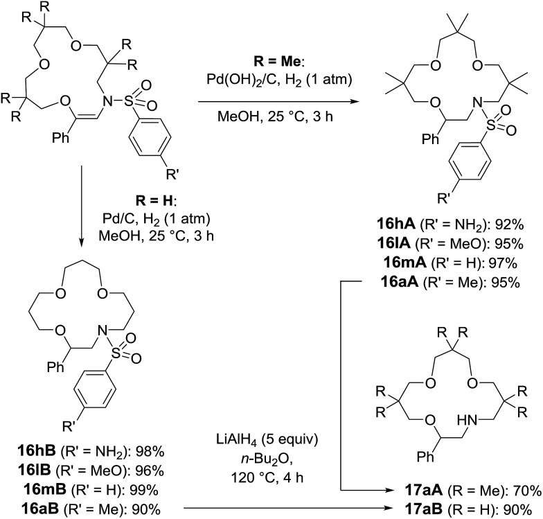 Scheme 9