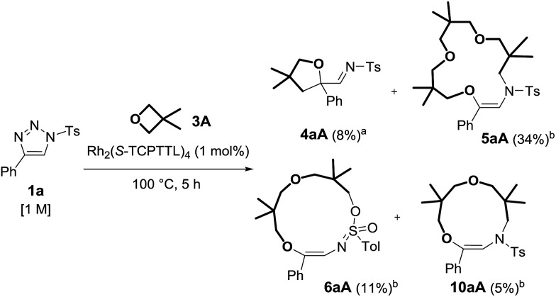 Scheme 4