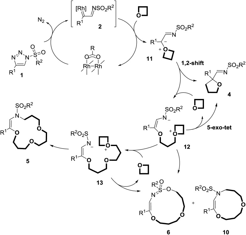 Scheme 7