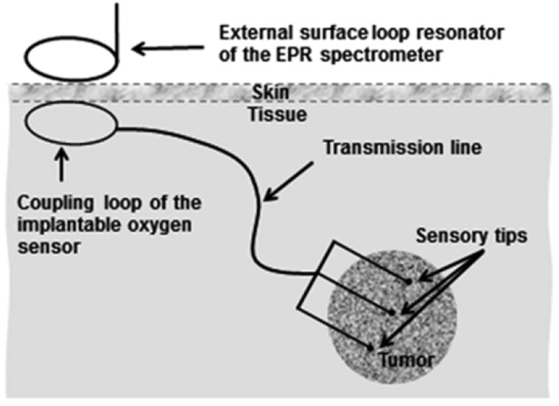 Fig. 13.2