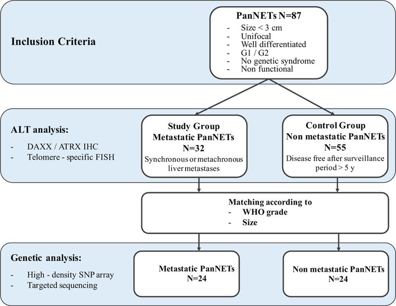 FIGURE 1.