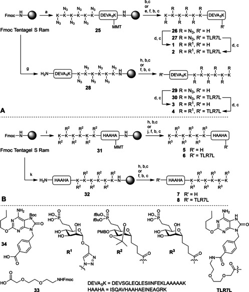 Scheme 2