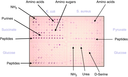 Fig. 4