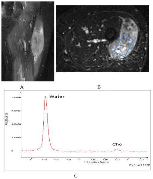 Figure 3.1