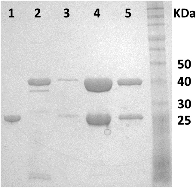 Fig. S6.