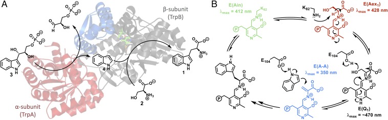 Fig. 1.