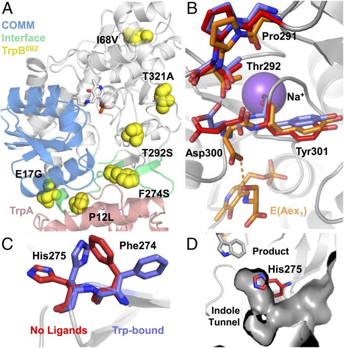 Fig. 4.