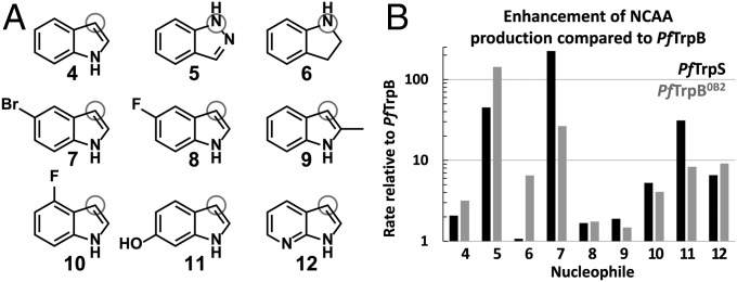 Fig. 5.