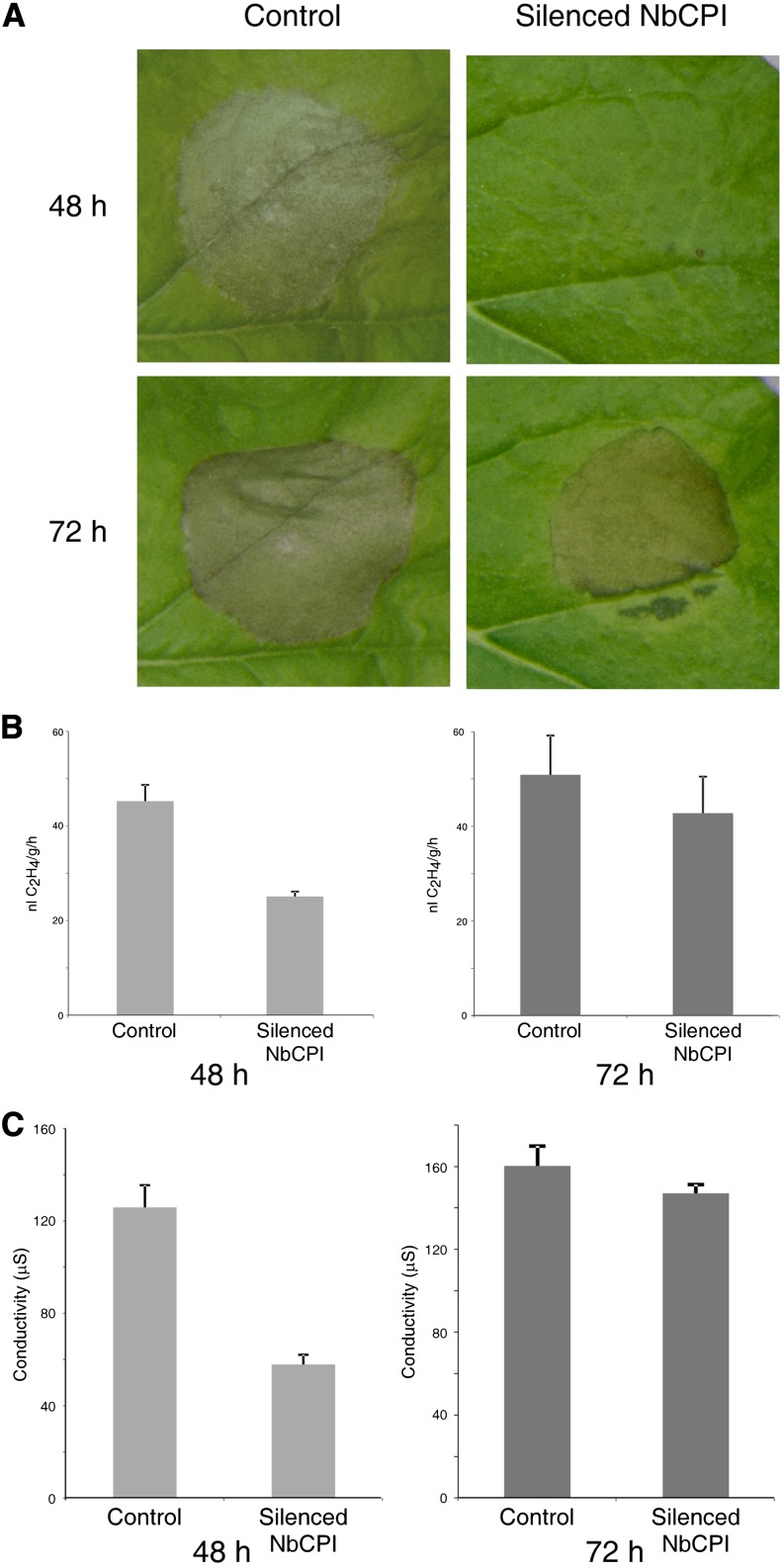 Figure 4.