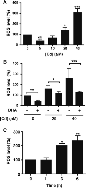 Fig. 4 –