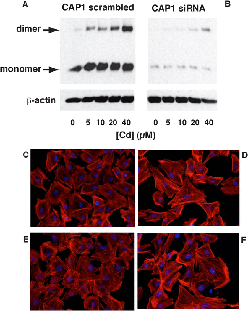 Fig. 8 –