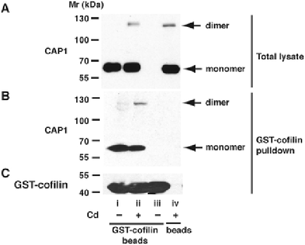 Fig. 10 –