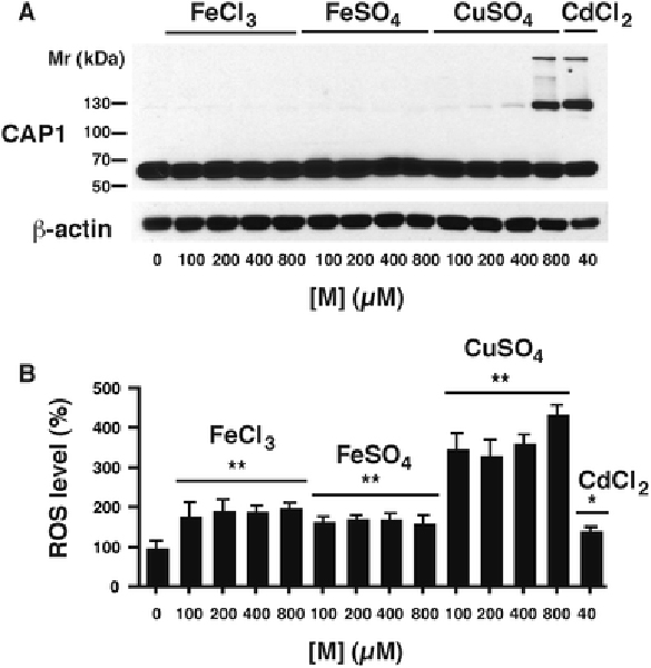 Fig. 6 –