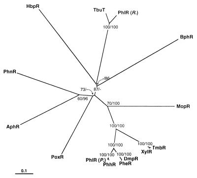 FIG. 6