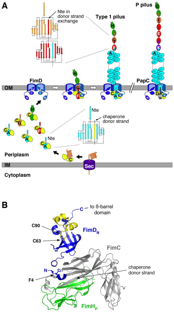 Fig. 1