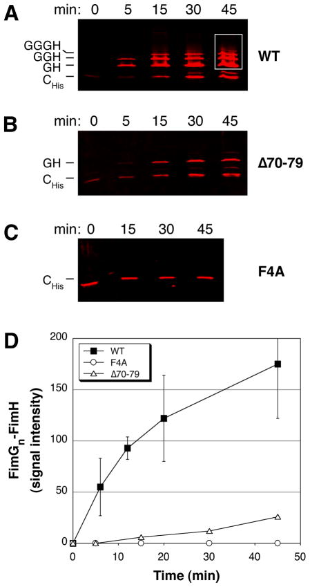 Fig. 4