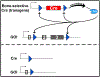 Figure 5: