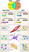 Figure 4: